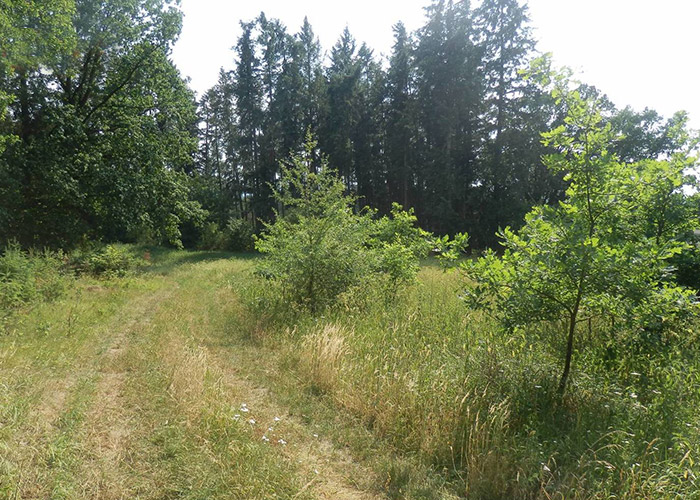 freiberg prodej pozemku 33178 m2 putim