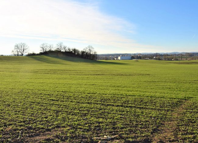 freiberg prodej pozemku 4514 m2 blatna